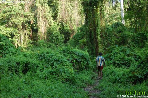 Андаманские острова
