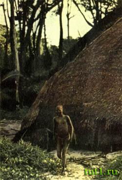 Племя Онге — коренные андаманцы