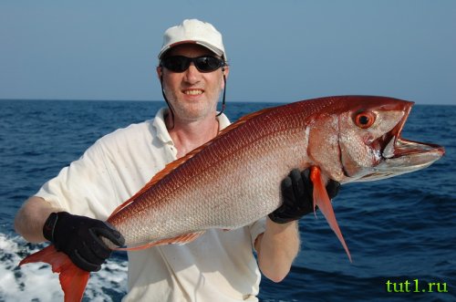 Рыбалка на Андаманских островах