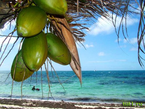 Атолл Альдабра