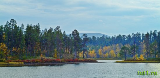 Национальный парк Лемменйоки в Финляндии