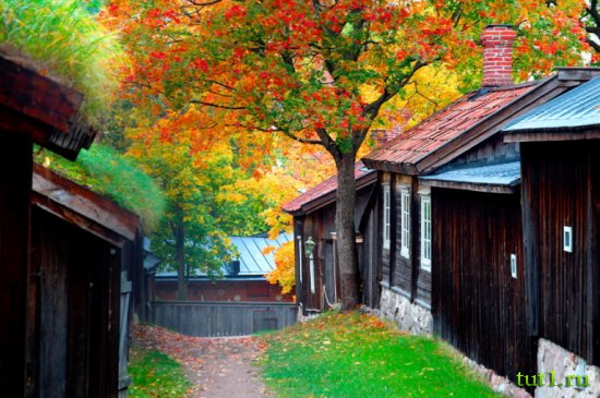 Музей Луостаринмяки в Турку, Финляндия
