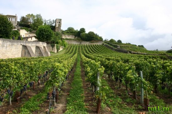 Пейзажи региона Бордоле