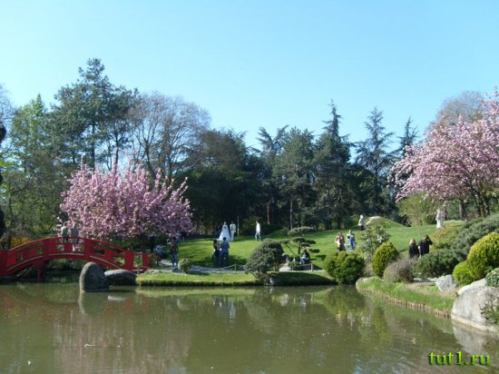 Ботанический сад Тулузы