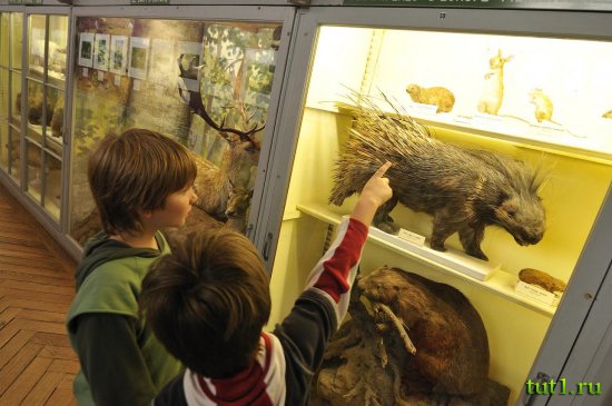 Руан - естественно-научный музей