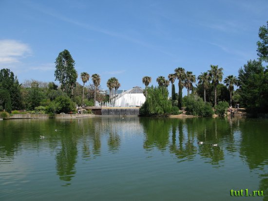 Ницца - парк Феникс