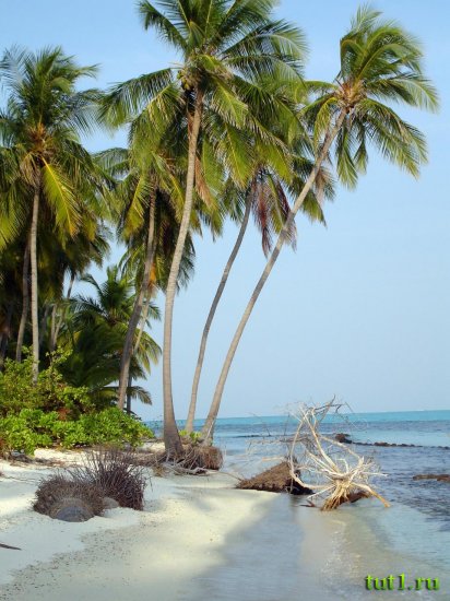 Лаккадивские острова