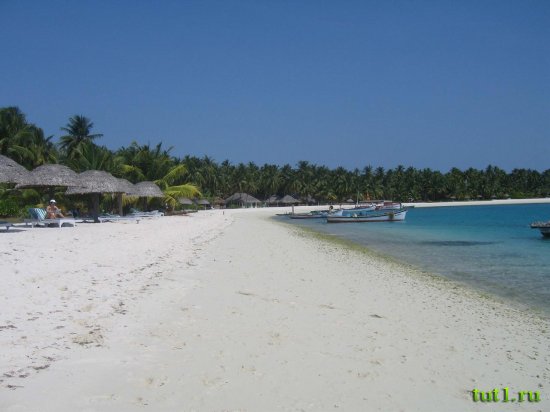 Лаккадивские острова