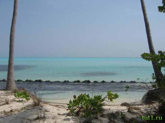 Лаккадивские острова