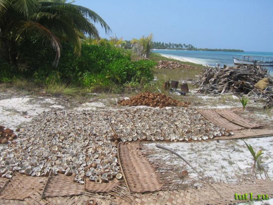 Лаккадивские острова