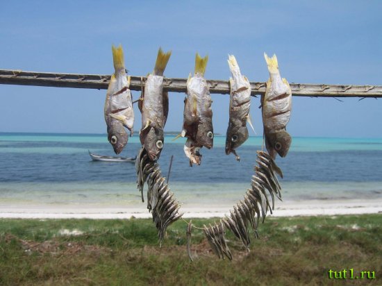 Лаккадивские острова