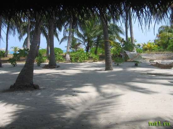 Лаккадивские острова