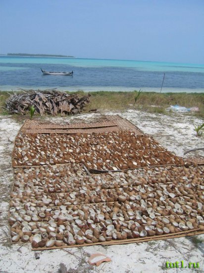 Лаккадивские острова