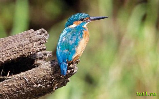 Гоа - природный заповедник Зуари