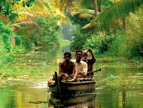 Гоа - природный заповедник Зуари
