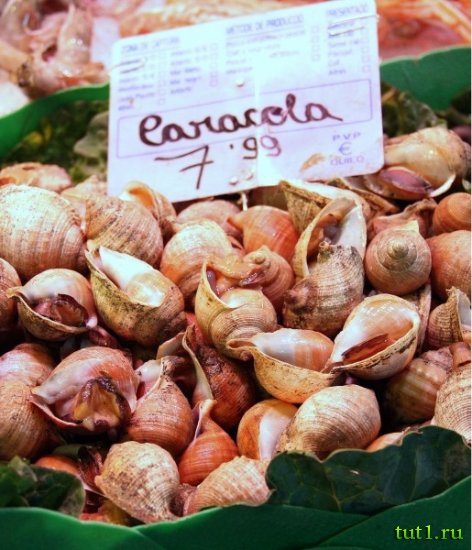 Барселона - рынок Бокерия