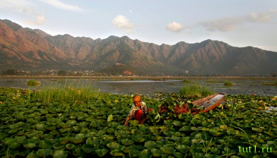 Индия - Джамму и Кашмир