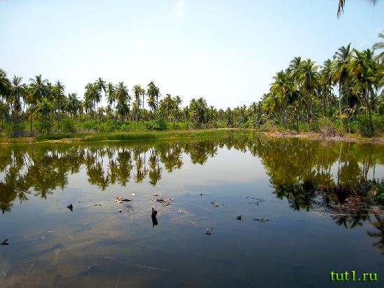 Остров Бангарам