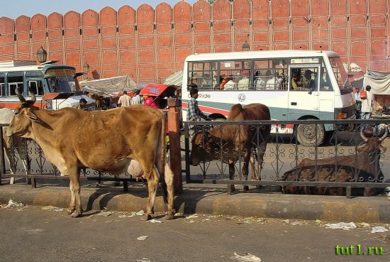 Джайпур - Старый город
