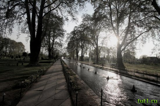 Сринагар - сад Шалимар