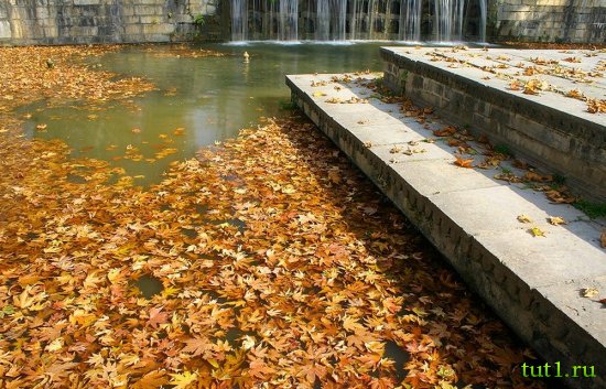 Сринагар - сад Шалимар