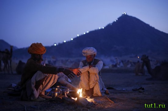 Пушкар - ярмарка верблюдов