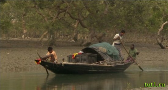 Племена Сундарбана - Индия