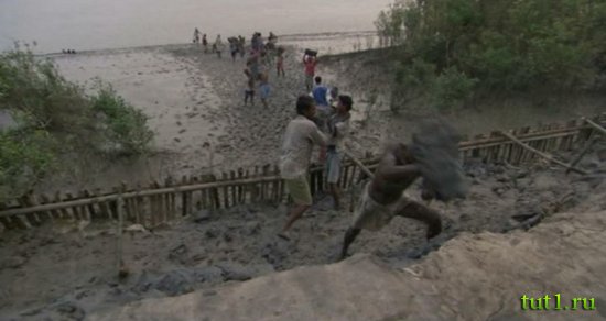 Племена Сундарбана - Индия