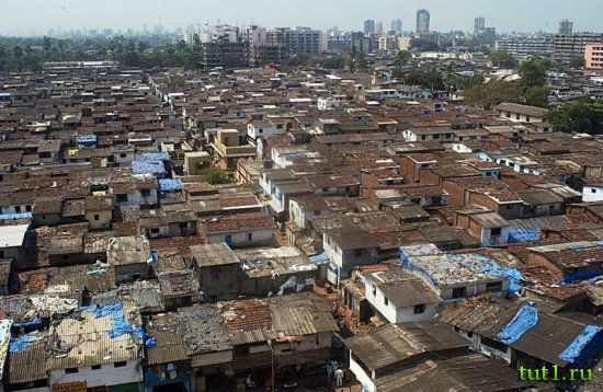 Трущобы Мумбая — Дхараби