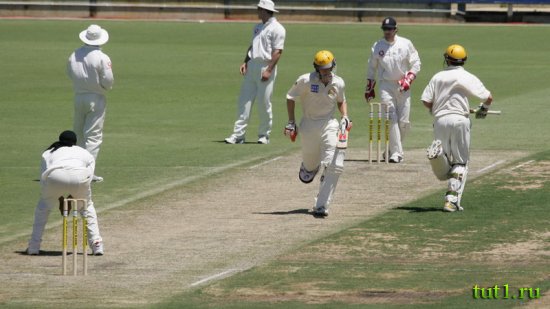 Крикет в Индии