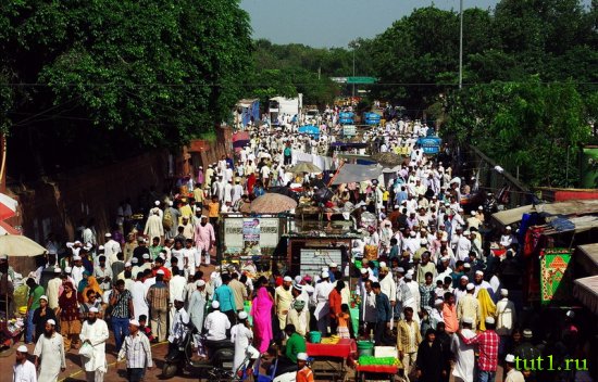 Дели - Индия