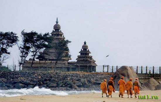 Штат Тамилнад &#8213; Индия