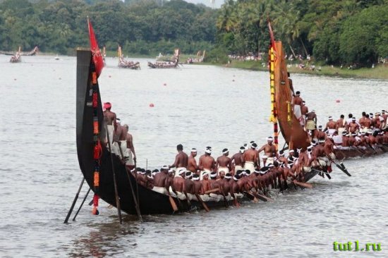 Керала - регаты