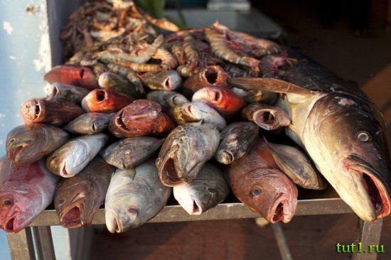 Керала - Индия