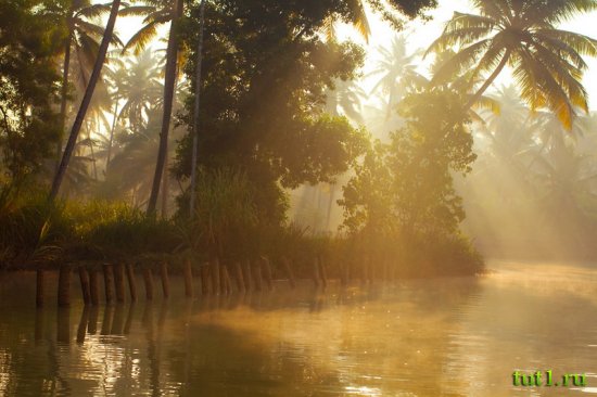 Каналы штата Керала