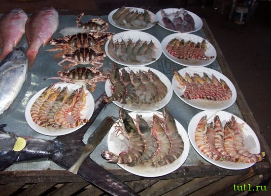 Штат Керала - дары моря