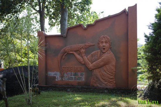 Керала - реабилитационный центр животных Neyyar Wildlife Sanctuary