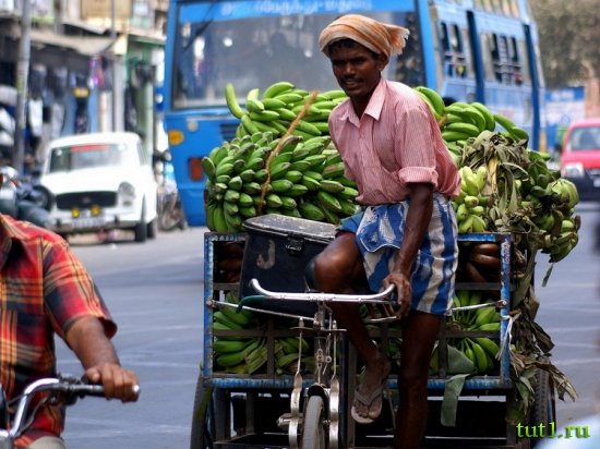 Штат Керала - Индия