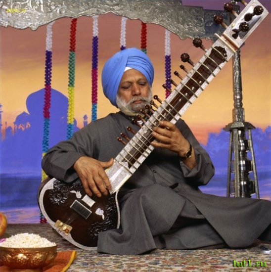 Индийская музыка - тампура