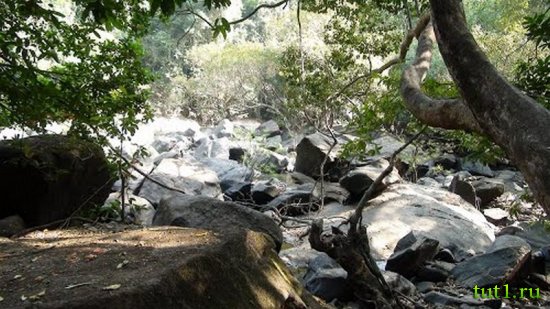 Заповедник Бхагван Махавир - Индия