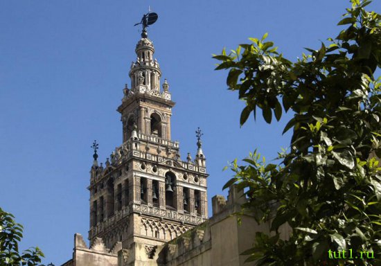 Кафедральный собор Севильи - Хиральда