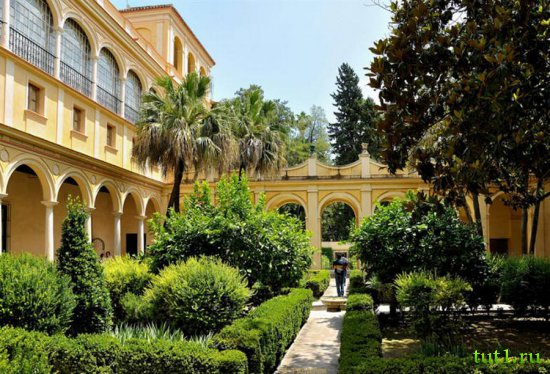Дворец Алькасар - Севилья