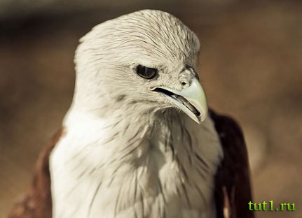 Гоа - заповедник Котигао