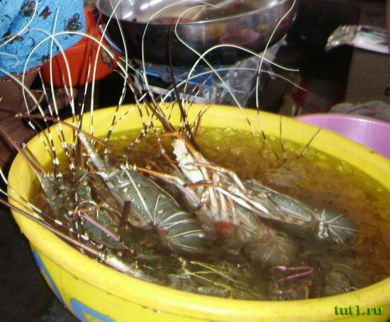 Рыбные рынки Северного Гоа