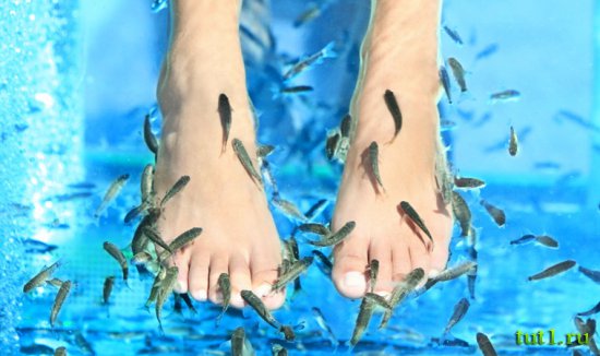 Спа-центр Nature Fish Spa, Лас-Америкас — Испания