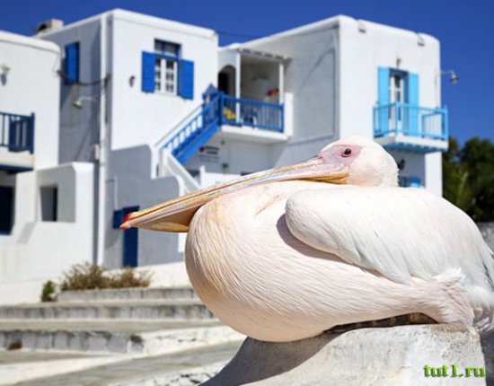 Греция - остров Миконос