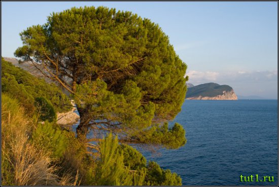 Милочер - Черногория