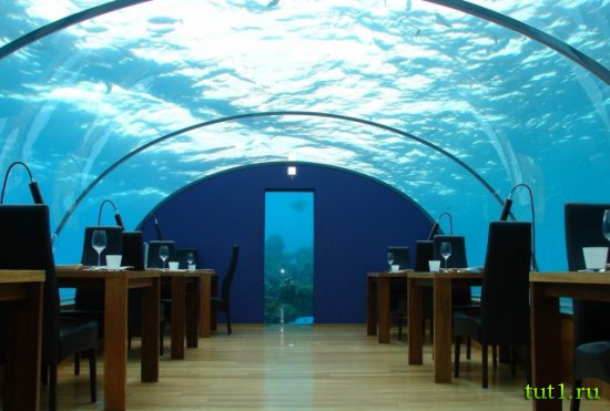 Стеклянный подводный ресторан "Ithaa" - Мальдивы