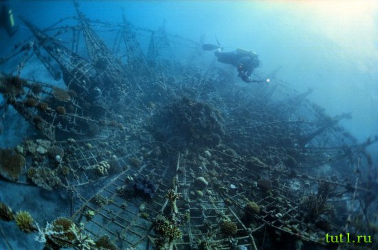 Кораловые рифы Мальдив