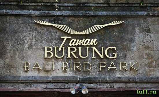 Остров Бали - заповедник птиц и рептилий Taman Burung